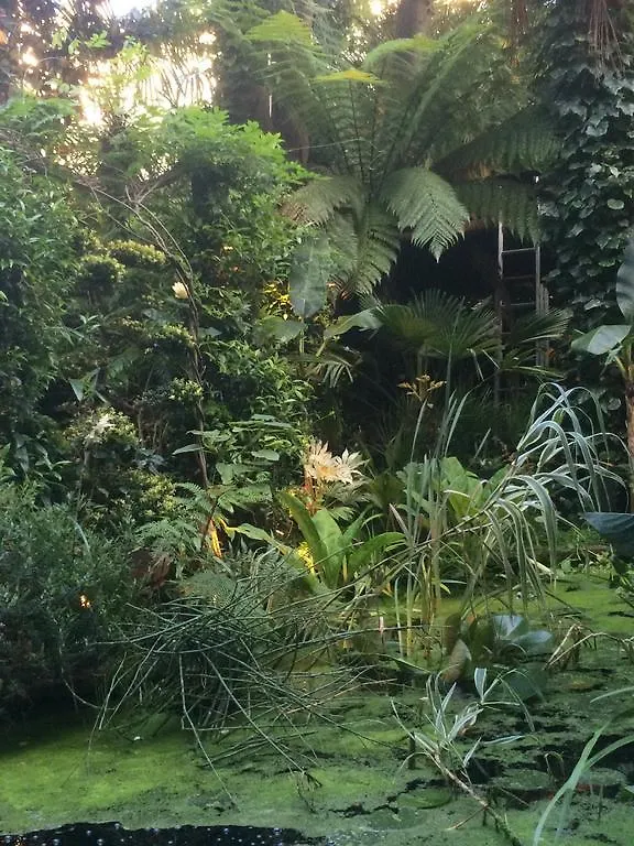 Garden Suite Centre アムステルダム 3*,  オランダ